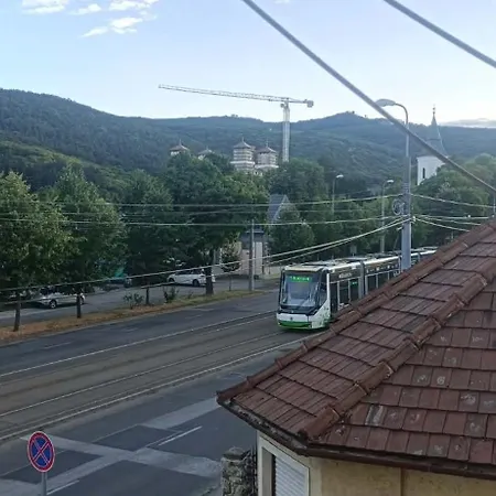 Berekalja Varszallas Miskolc